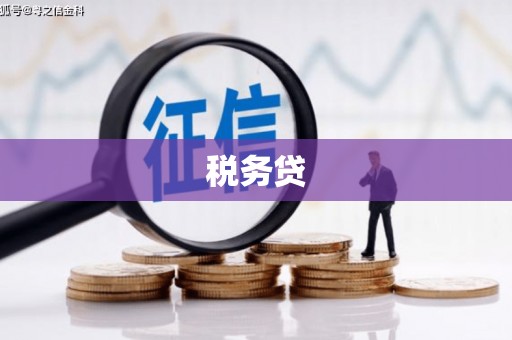 龙泉驿税务贷