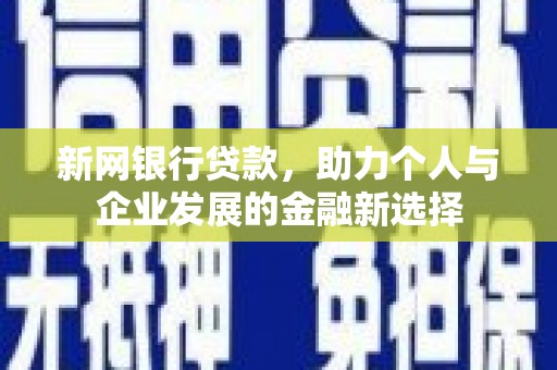 龙泉驿新网银行贷款，助力个人与企业发展的金融新选择