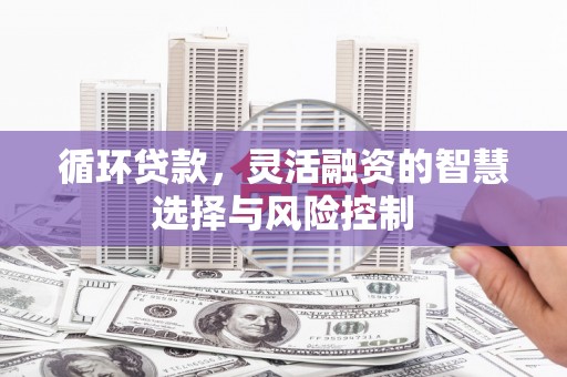 龙泉驿循环贷款，灵活融资的智慧选择与风险控制