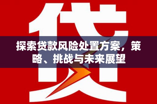 龙泉驿探索贷款风险处置方案，策略、挑战与未来展望