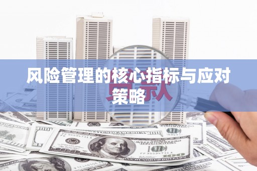 龙泉驿风险管理的核心指标与应对策略