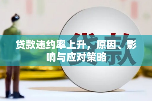 龙泉驿贷款违约率上升，原因、影响与应对策略