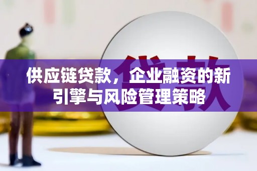 龙泉驿供应链贷款，企业融资的新引擎与风险管理策略
