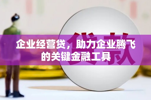 龙泉驿企业经营贷，助力企业腾飞的关键金融工具