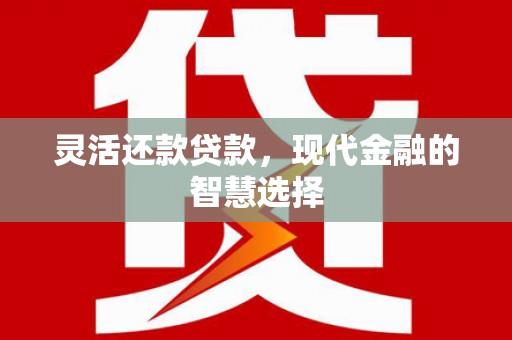 龙泉驿灵活还款贷款，现代金融的智慧选择
