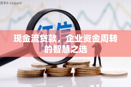 龙泉驿现金流贷款，企业资金周转的智慧之选