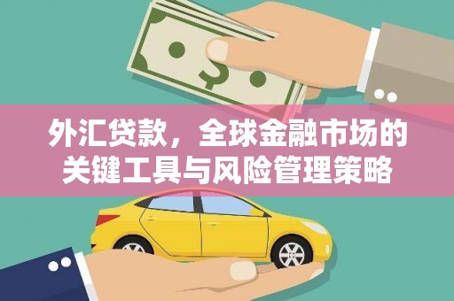 龙泉驿外汇贷款，全球金融市场的关键工具与风险管理策略