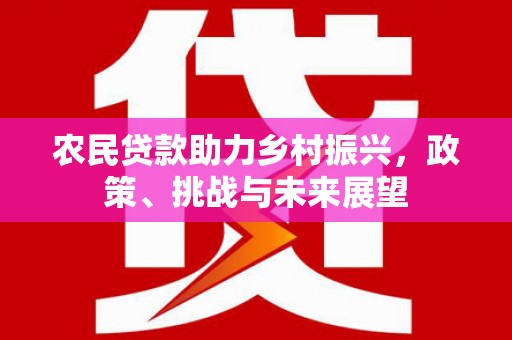 龙泉驿农民贷款助力乡村振兴，政策、挑战与未来展望