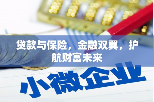 龙泉驿贷款与保险，金融双翼，护航财富未来