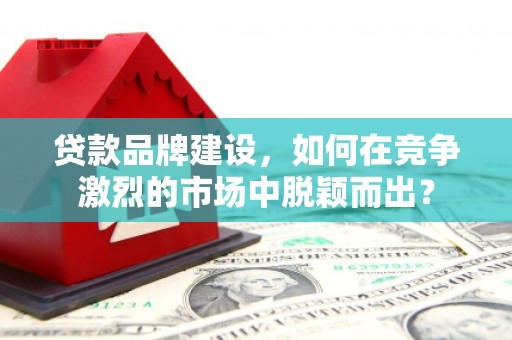 龙泉驿贷款品牌建设，如何在竞争激烈的市场中脱颖而出？