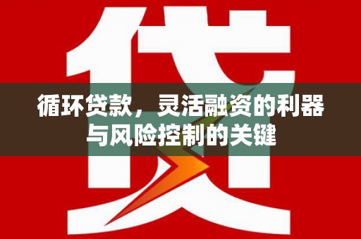 龙泉驿循环贷款，灵活融资的利器与风险控制的关键