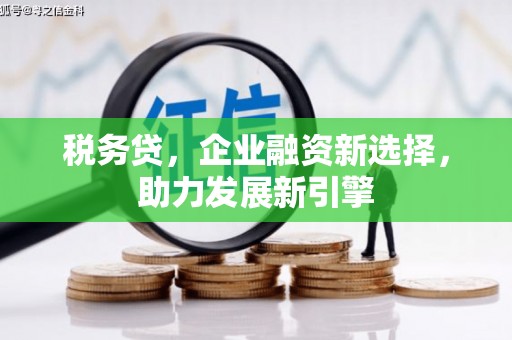 龙泉驿税务贷，企业融资新选择，助力发展新引擎