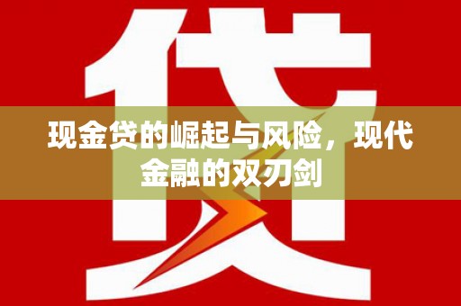 龙泉驿现金贷的崛起与风险，现代金融的双刃剑