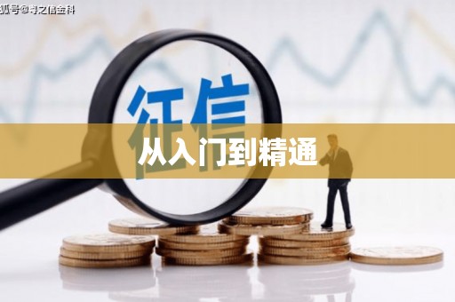 龙泉驿从入门到精通