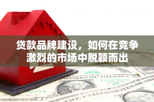 龙泉驿贷款品牌建设，如何在竞争激烈的市场中脱颖而出
