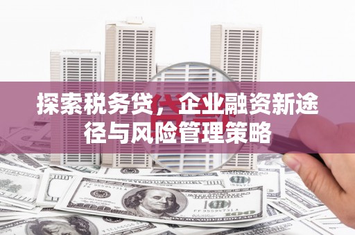 龙泉驿探索税务贷，企业融资新途径与风险管理策略