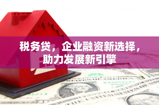 龙泉驿税务贷，企业融资新选择，助力发展新引擎