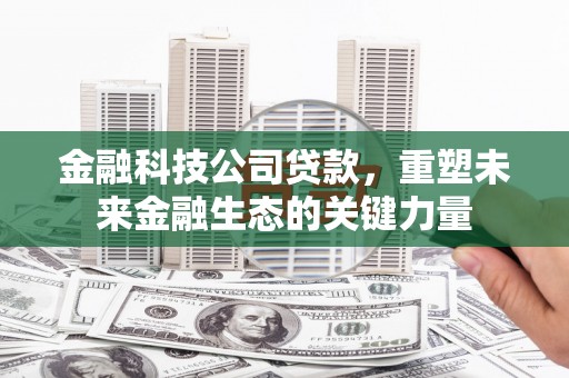 龙泉驿金融科技公司贷款，重塑未来金融生态的关键力量