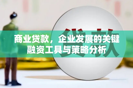 龙泉驿商业贷款，企业发展的关键融资工具与策略分析