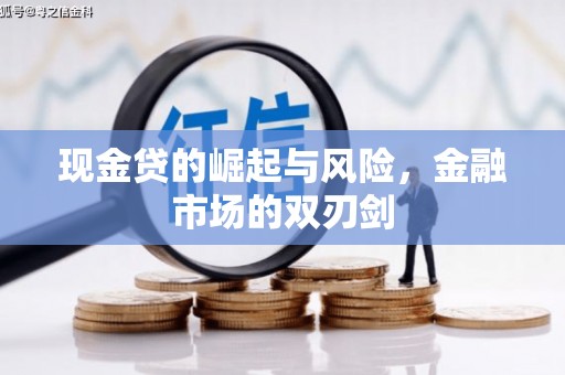 龙泉驿现金贷的崛起与风险，金融市场的双刃剑
