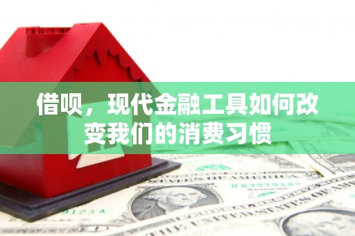 龙泉驿借呗，现代金融工具如何改变我们的消费习惯