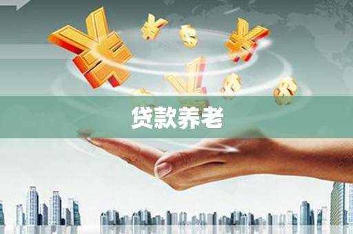 龙泉驿贷款养老