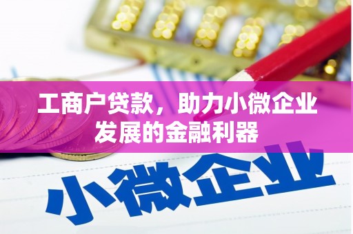 龙泉驿工商户贷款，助力小微企业发展的金融利器