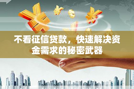 龙泉驿不看征信贷款，快速解决资金需求的秘密武器