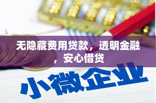 龙泉驿无隐藏费用贷款，透明金融，安心借贷