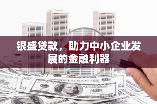 龙泉驿银盛贷款，助力中小企业发展的金融利器