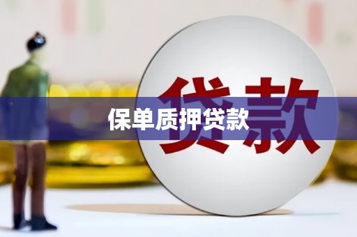 龙泉驿保单质押贷款