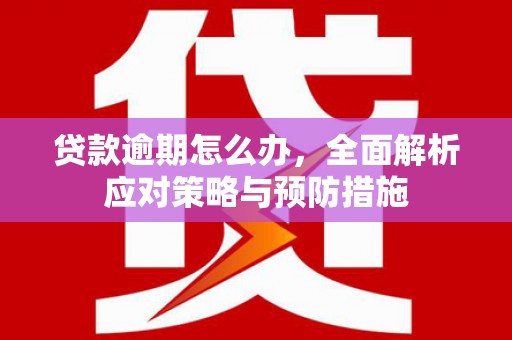 龙泉驿贷款逾期怎么办，全面解析应对策略与预防措施