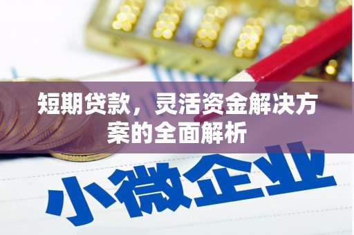 龙泉驿短期贷款，灵活资金解决方案的全面解析