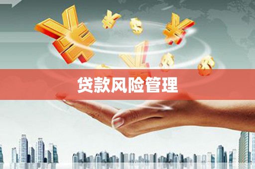 龙泉驿贷款风险管理