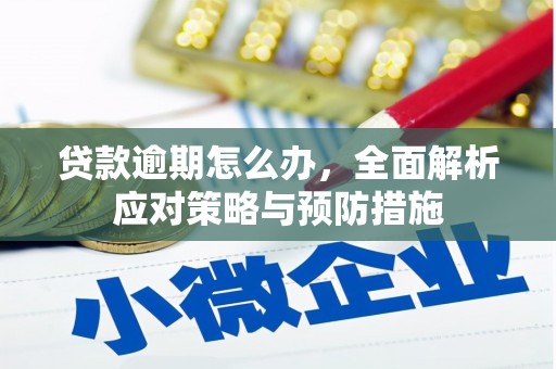 龙泉驿贷款逾期怎么办，全面解析应对策略与预防措施