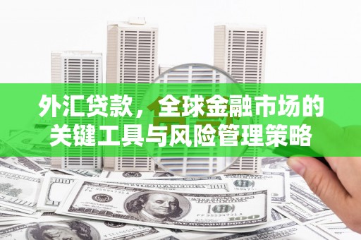 龙泉驿外汇贷款，全球金融市场的关键工具与风险管理策略