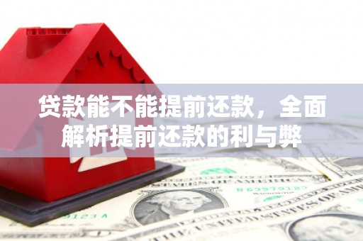 龙泉驿贷款能不能提前还款，全面解析提前还款的利与弊