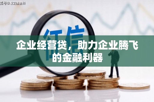 龙泉驿企业经营贷，助力企业腾飞的金融利器