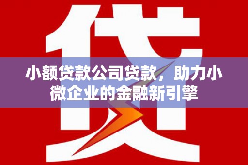 龙泉驿小额贷款公司贷款，助力小微企业的金融新引擎