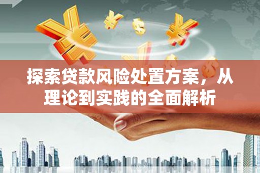 龙泉驿探索贷款风险处置方案，从理论到实践的全面解析
