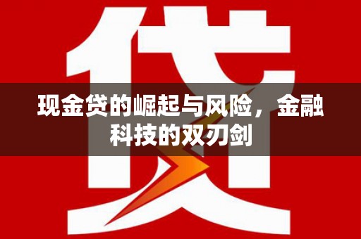 龙泉驿现金贷的崛起与风险，金融科技的双刃剑