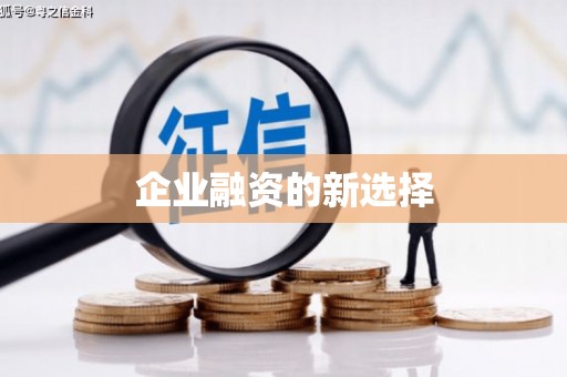 龙泉驿企业融资的新选择