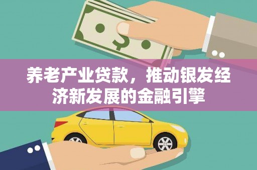 龙泉驿养老产业贷款，推动银发经济新发展的金融引擎