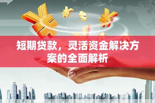 龙泉驿短期贷款，灵活资金解决方案的全面解析