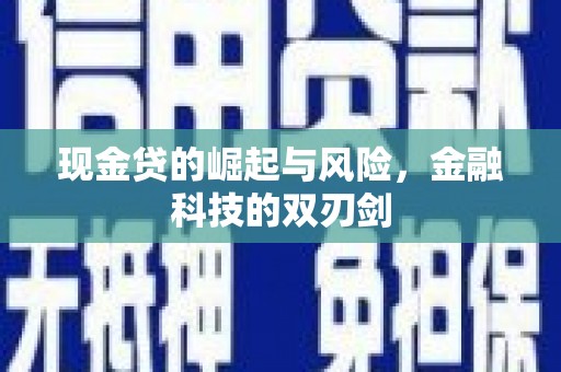 龙泉驿现金贷的崛起与风险，金融科技的双刃剑