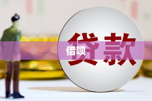 龙泉驿借呗