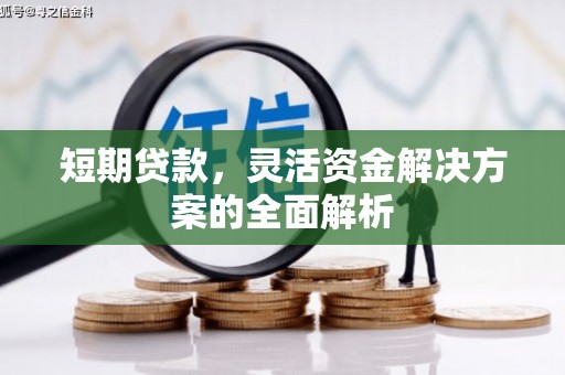 龙泉驿短期贷款，灵活资金解决方案的全面解析