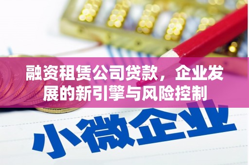 龙泉驿融资租赁公司贷款，企业发展的新引擎与风险控制
