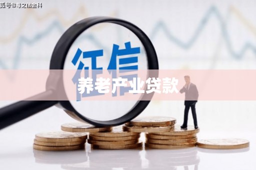 龙泉驿养老产业贷款