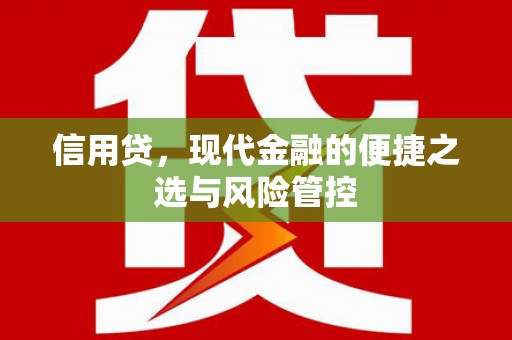 龙泉驿信用贷，现代金融的便捷之选与风险管控